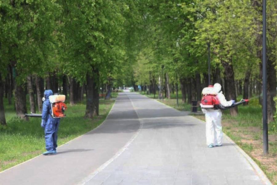 Обработка от клещей городского сквера Молодёжный